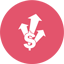 LasVegasSEOSolutions-ROI-Icon